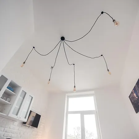 Студия С Дизайнерским Ремонтом Apartment Lviv